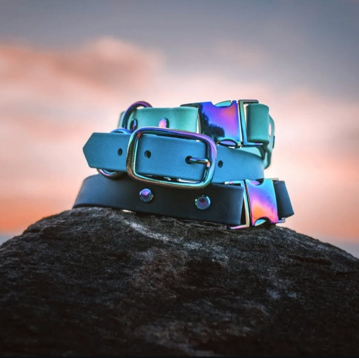 Quick Release Buckle Collar