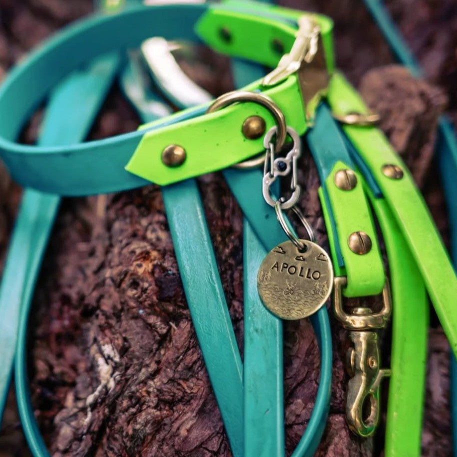 Two Tone Quick Release Collar