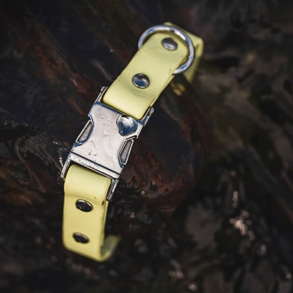 Quick Release Buckle Collar