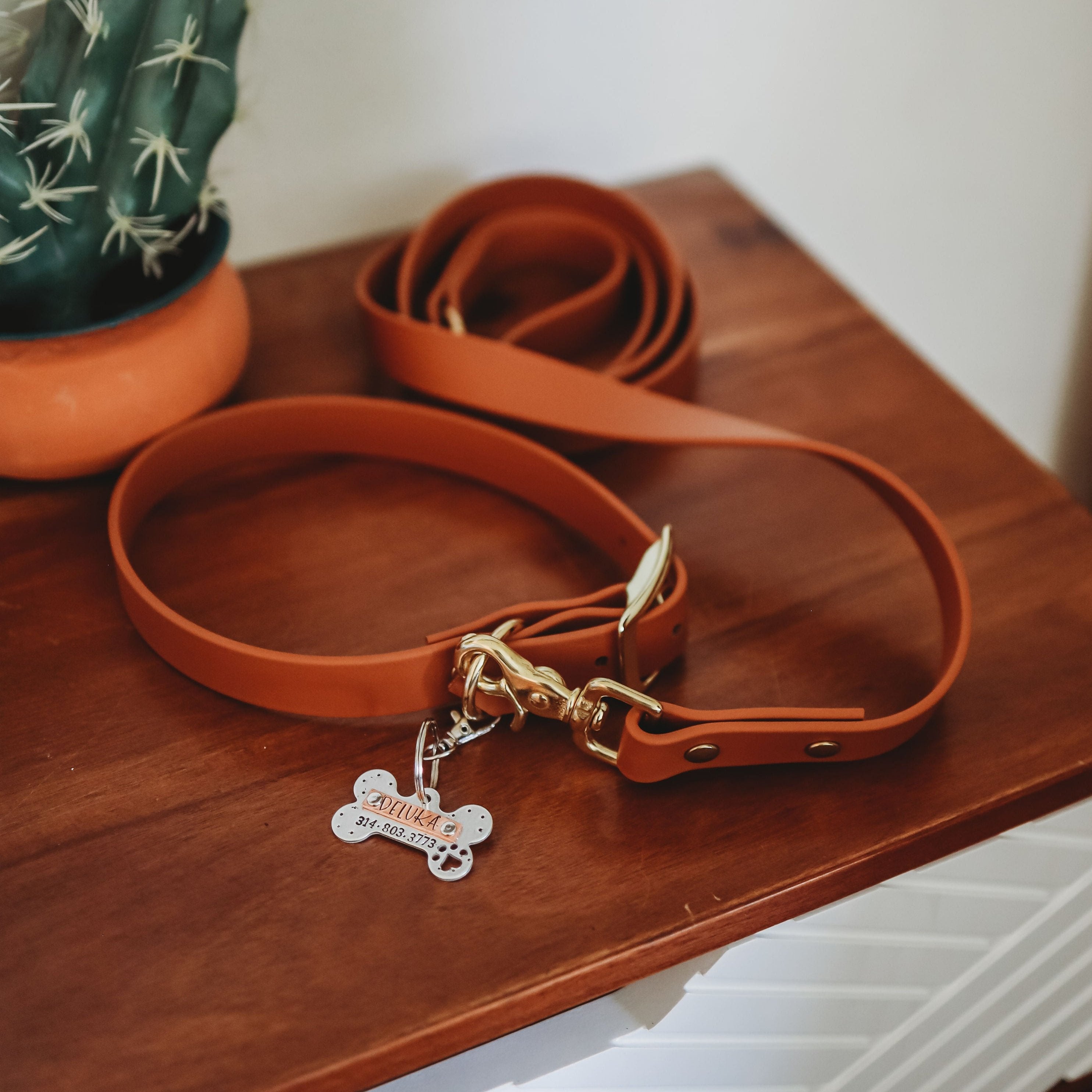 Classic Buckle Collar and Leash Package