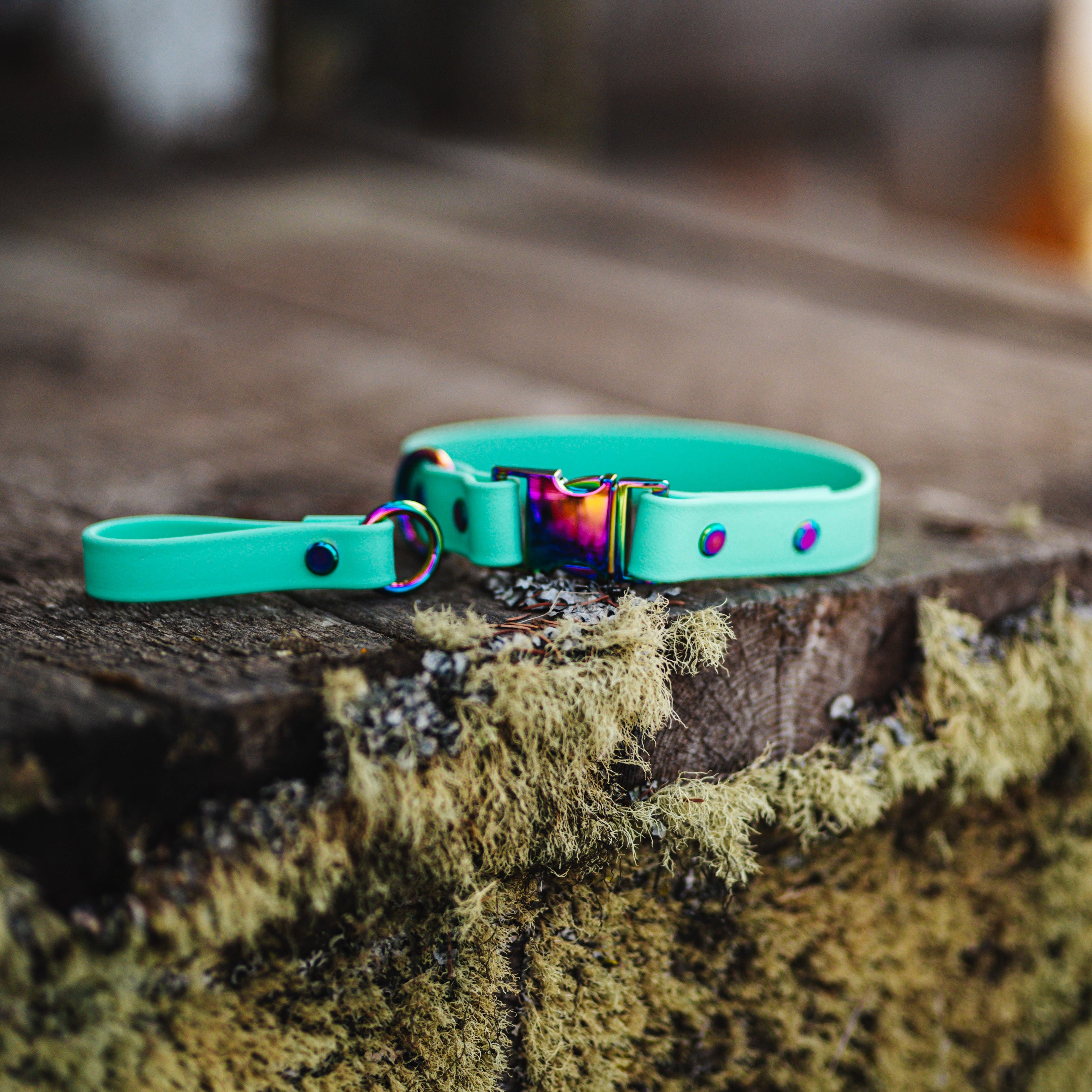 Quick Release Buckle Collar