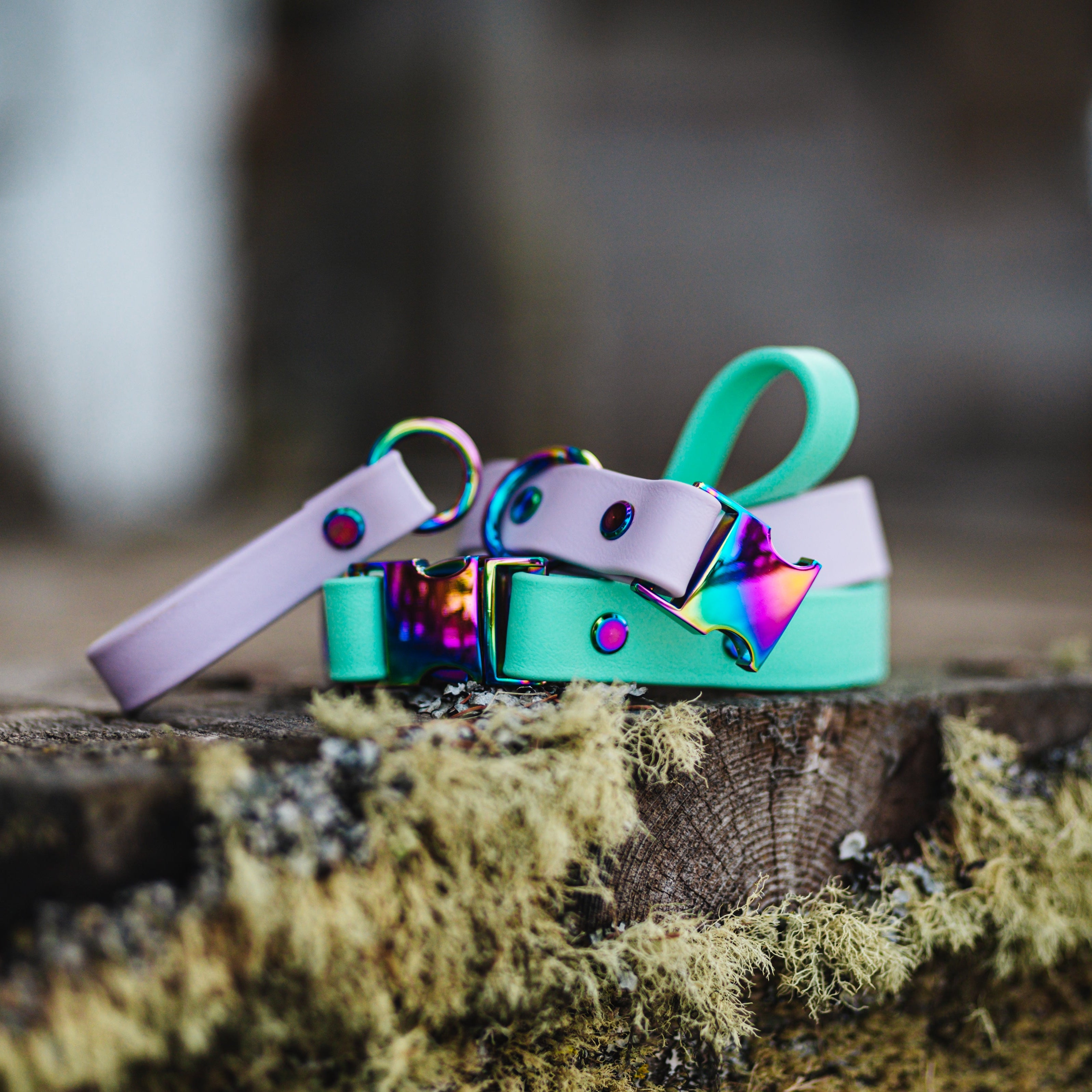 Quick Release Buckle Collar