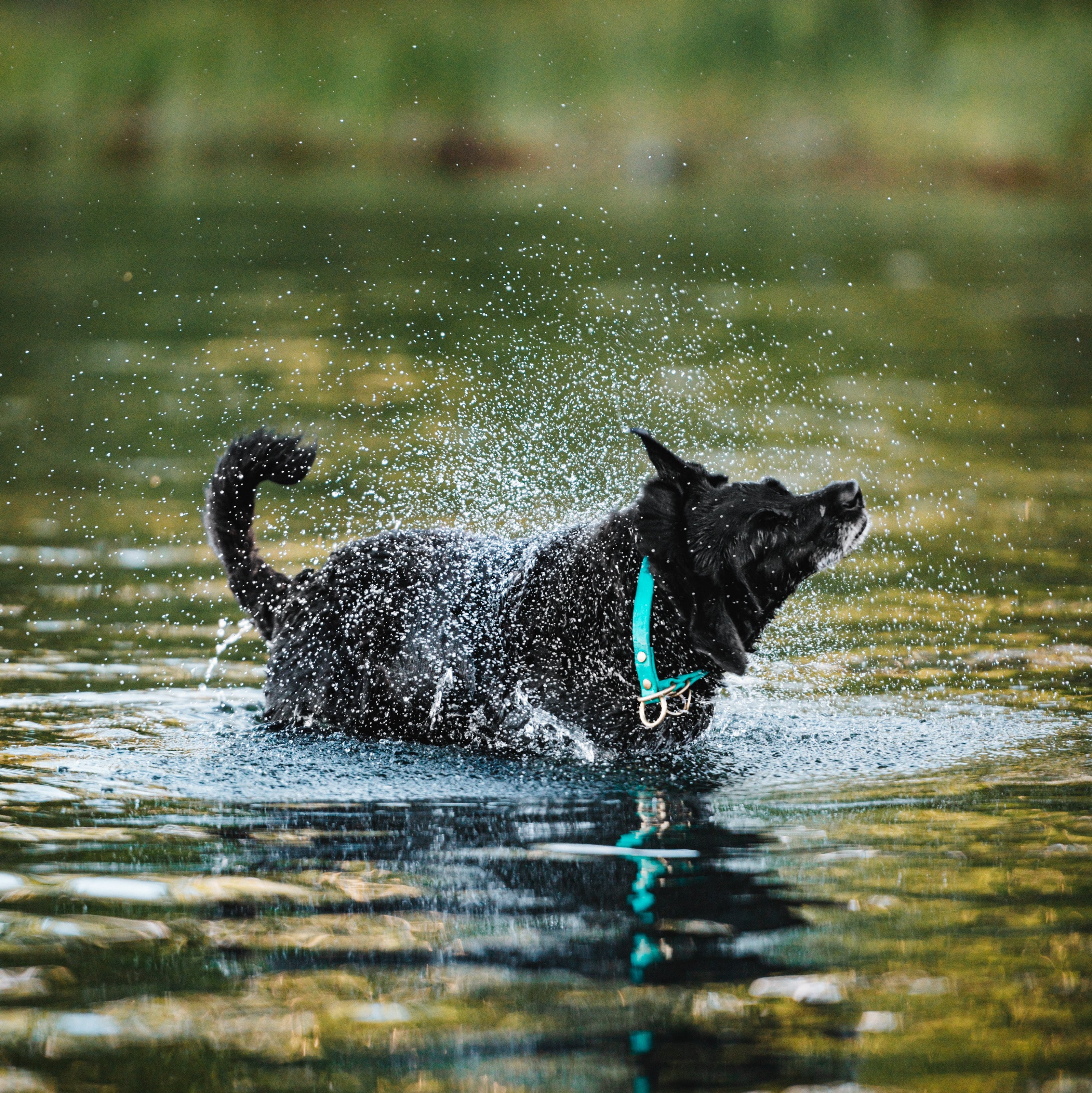 Single Tone Slip Collar