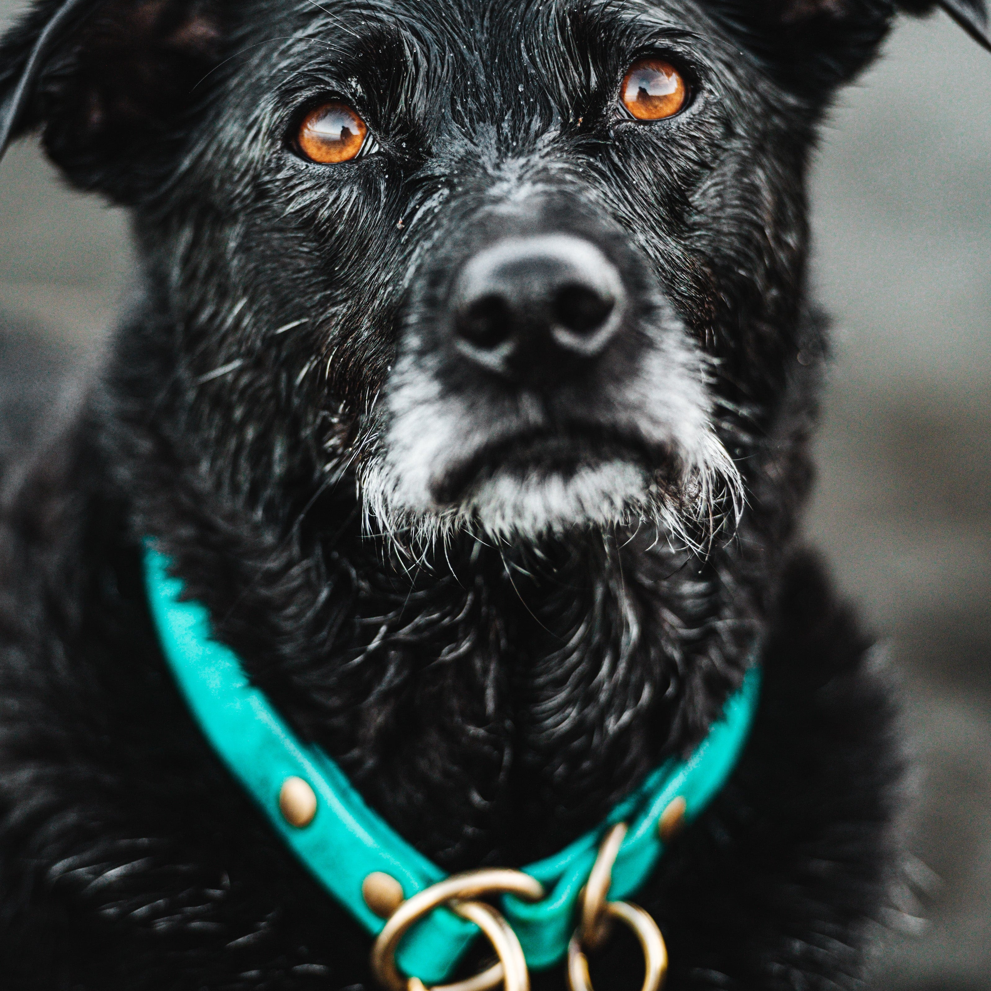 Single Tone Slip Collar