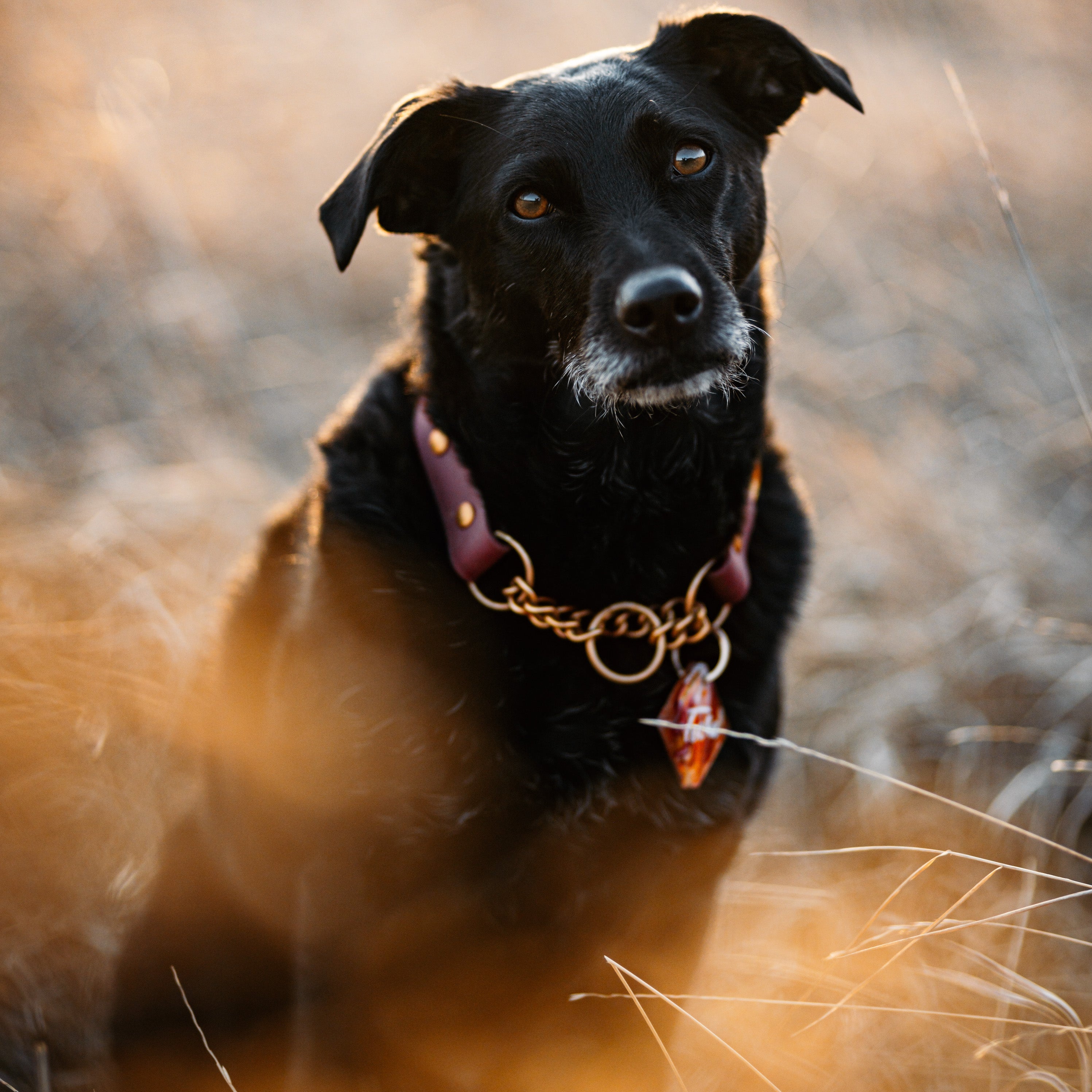Single Tone Martingale