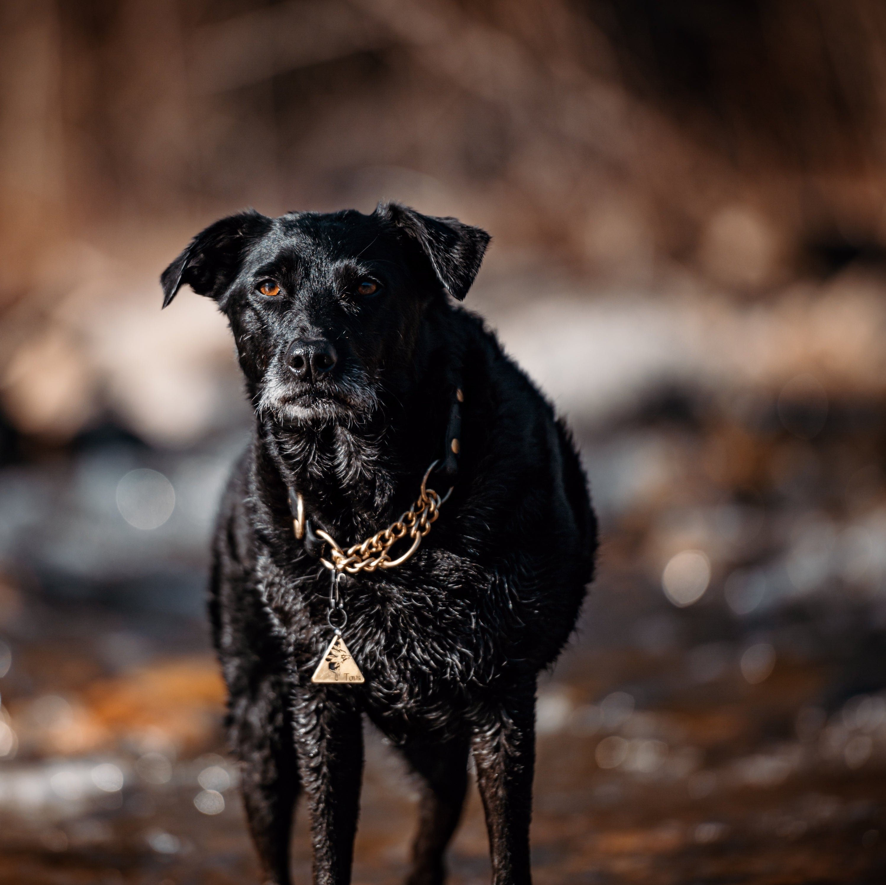 Single Tone Martingale