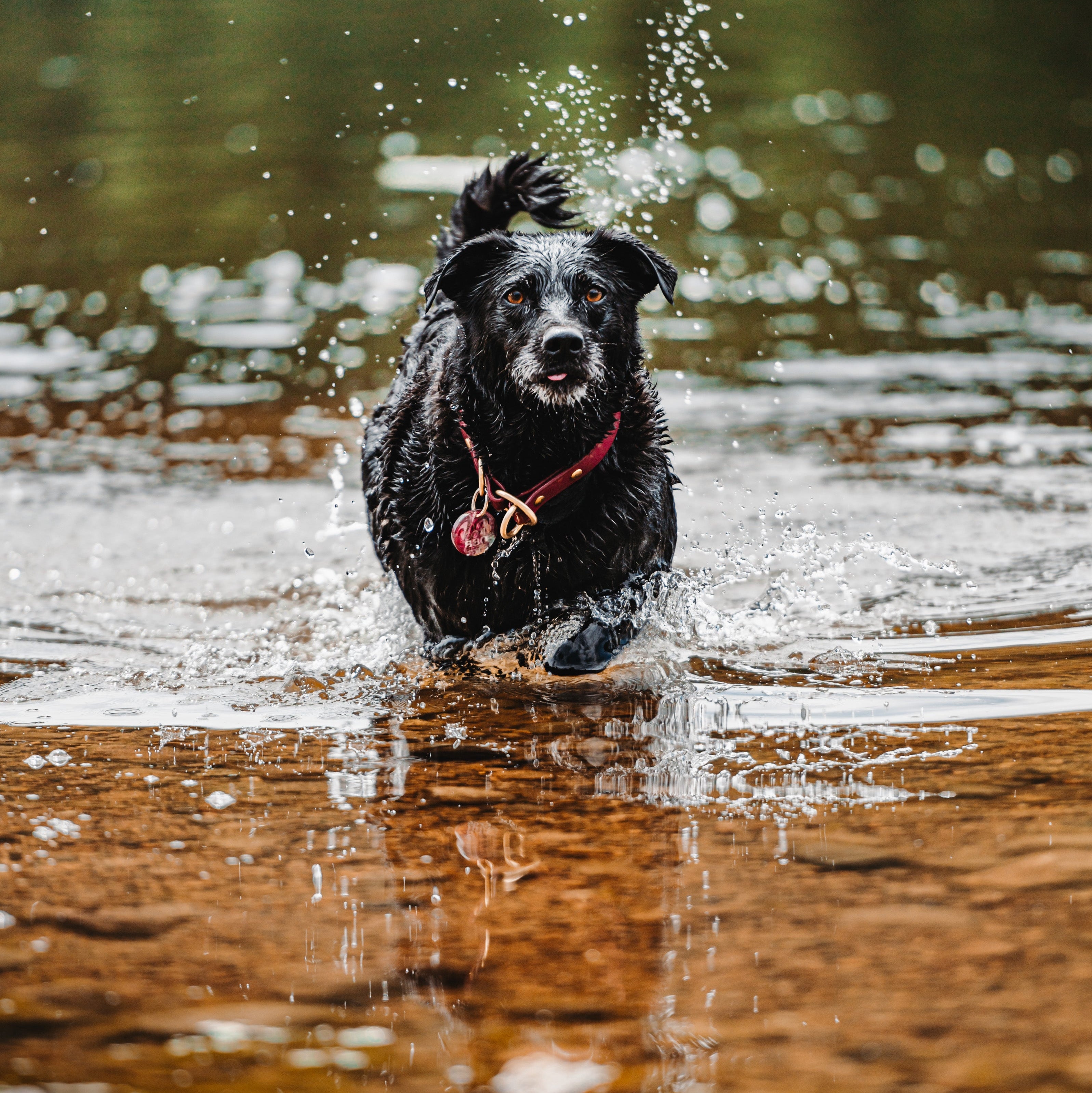 Single Tone Slip Collar