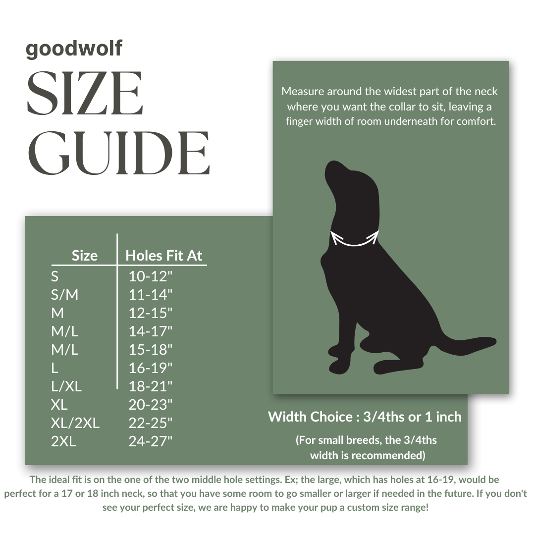 Two Classic Buckle Collars Package