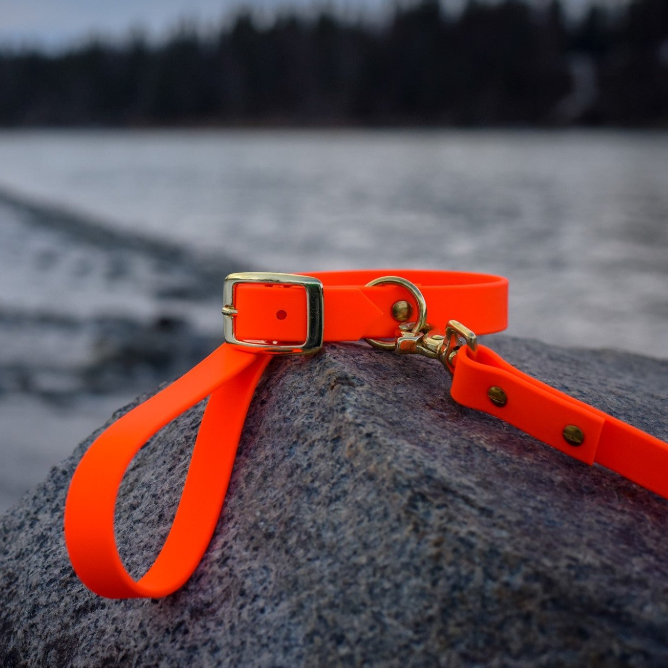 Two Classic Buckle Collars Package