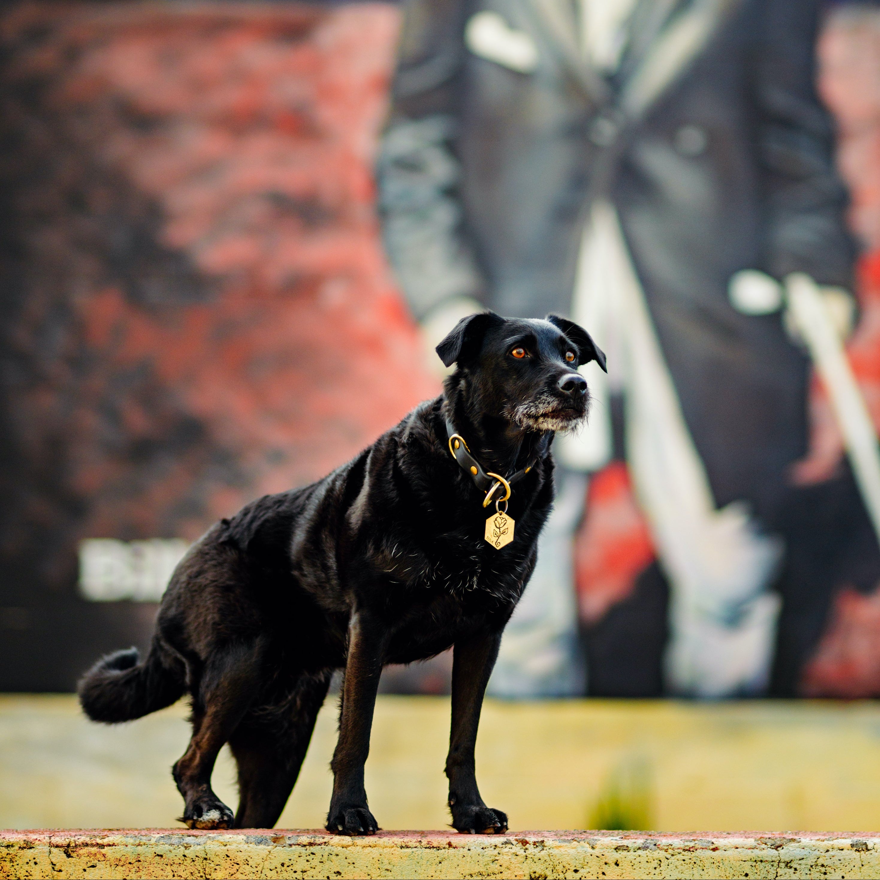 Single Tone Slip Collar