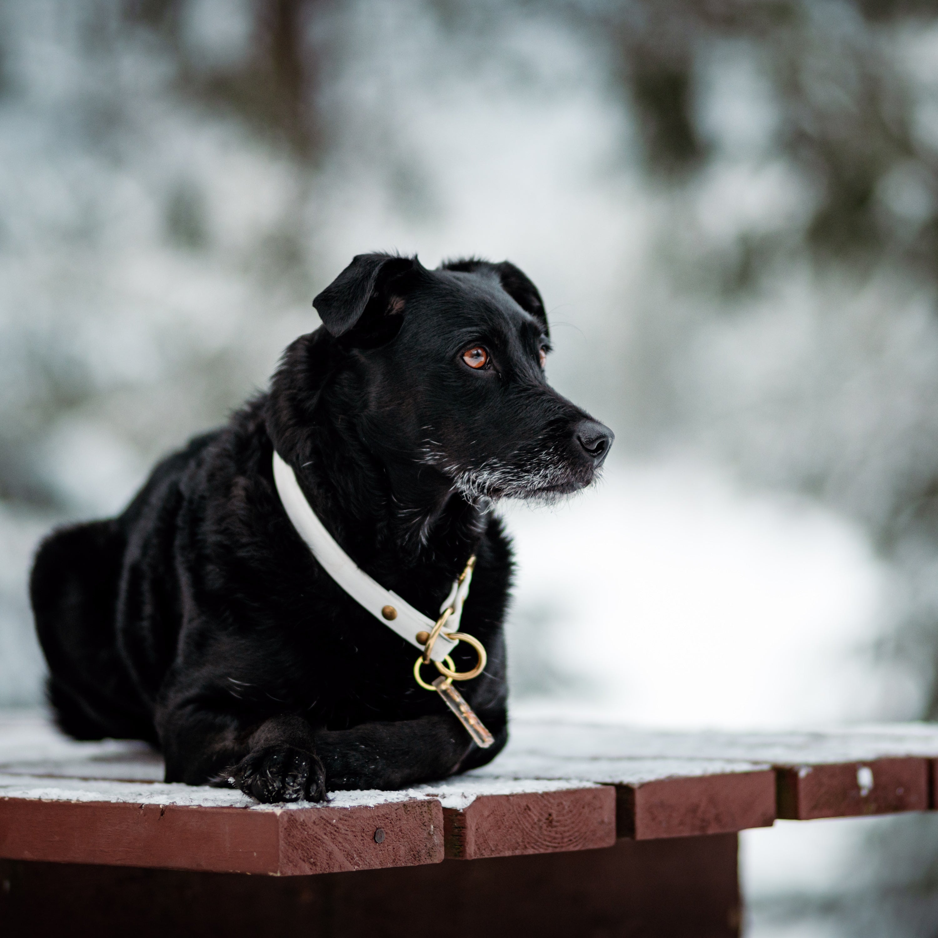Single Tone Slip Collar