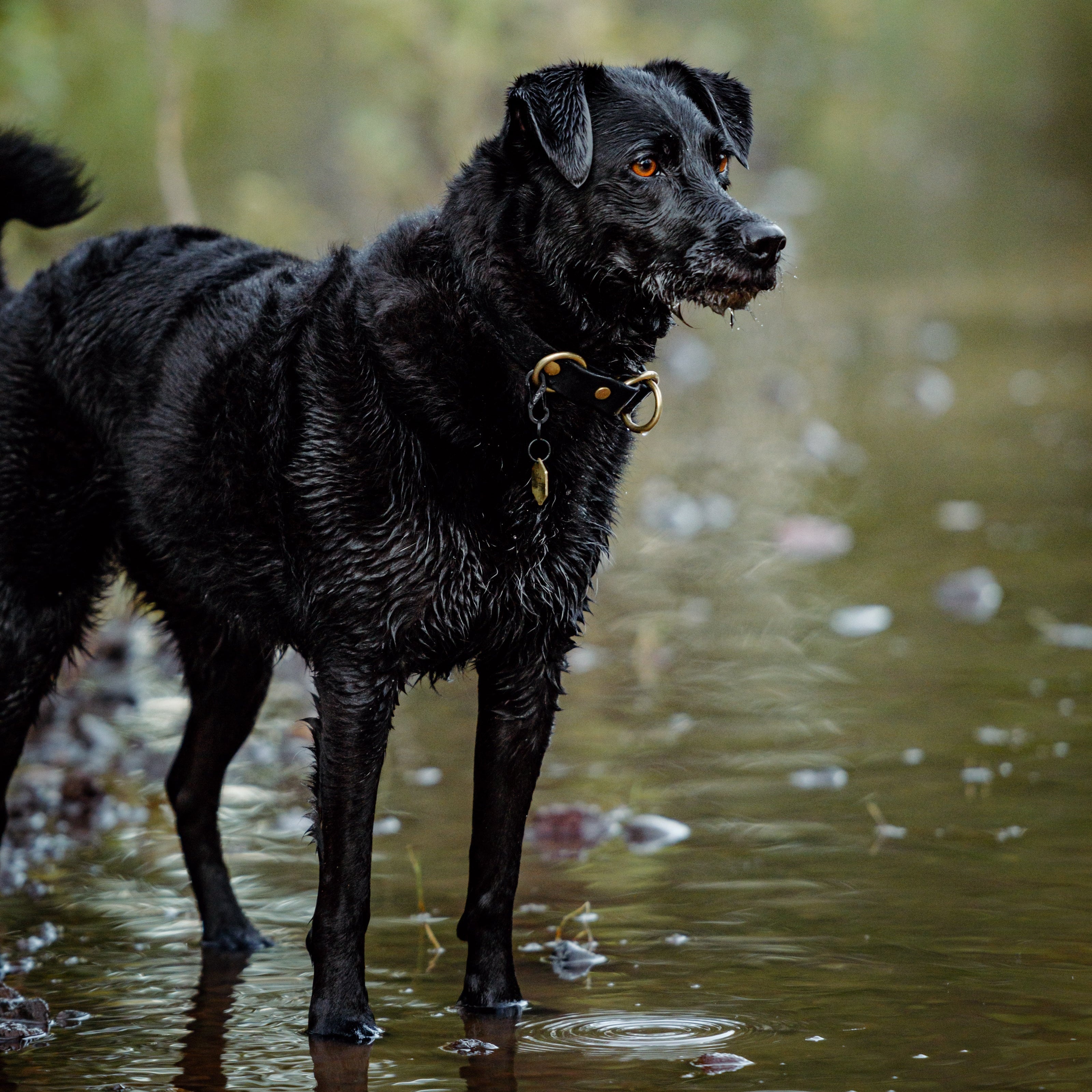 Single Tone Slip Collar