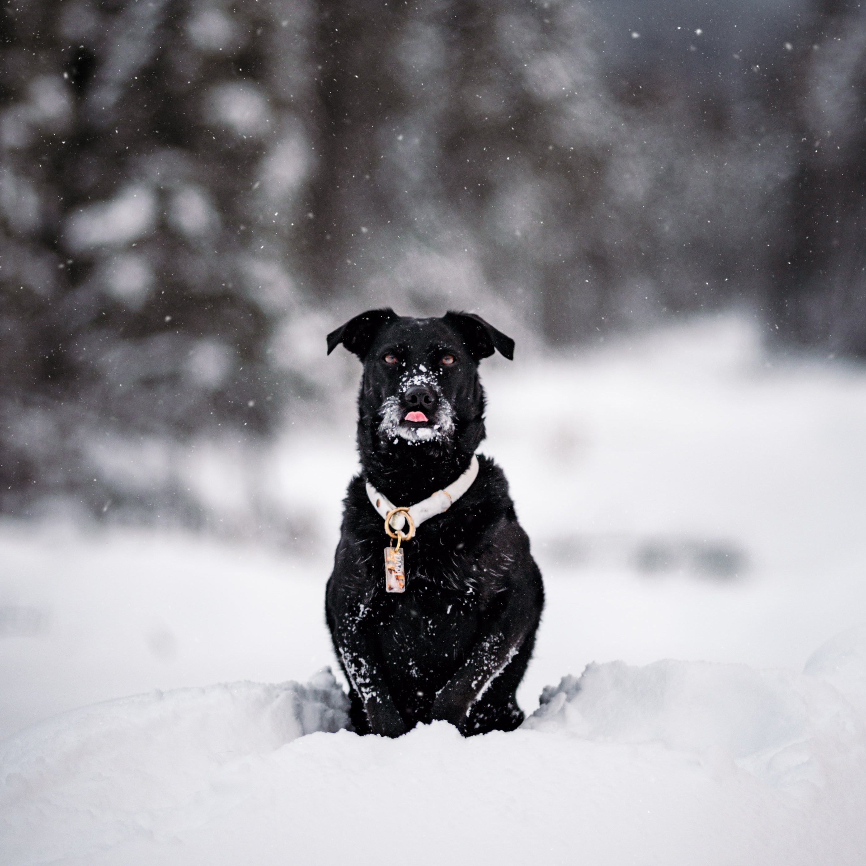 Single Tone Slip Collar
