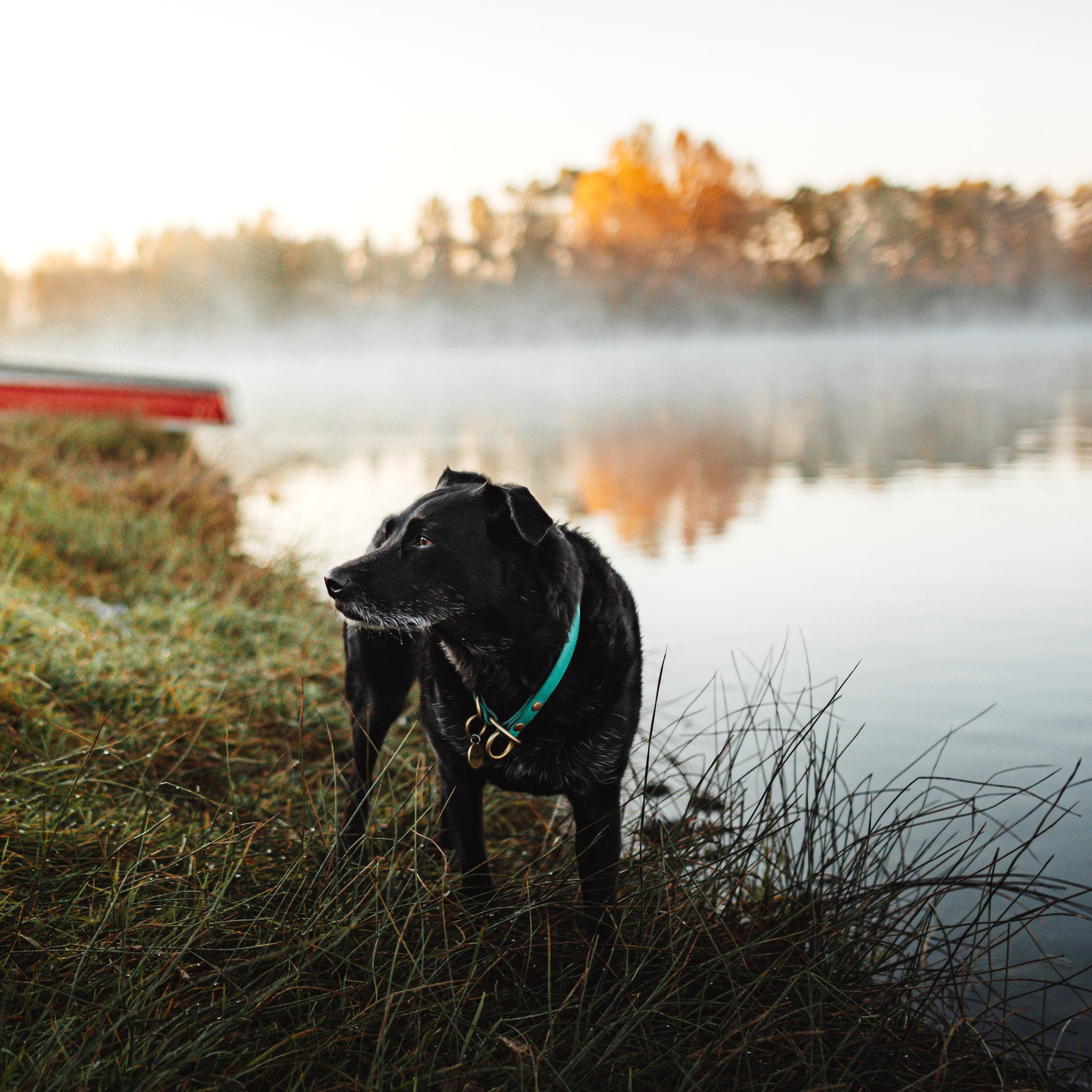 Single Tone Slip Collar