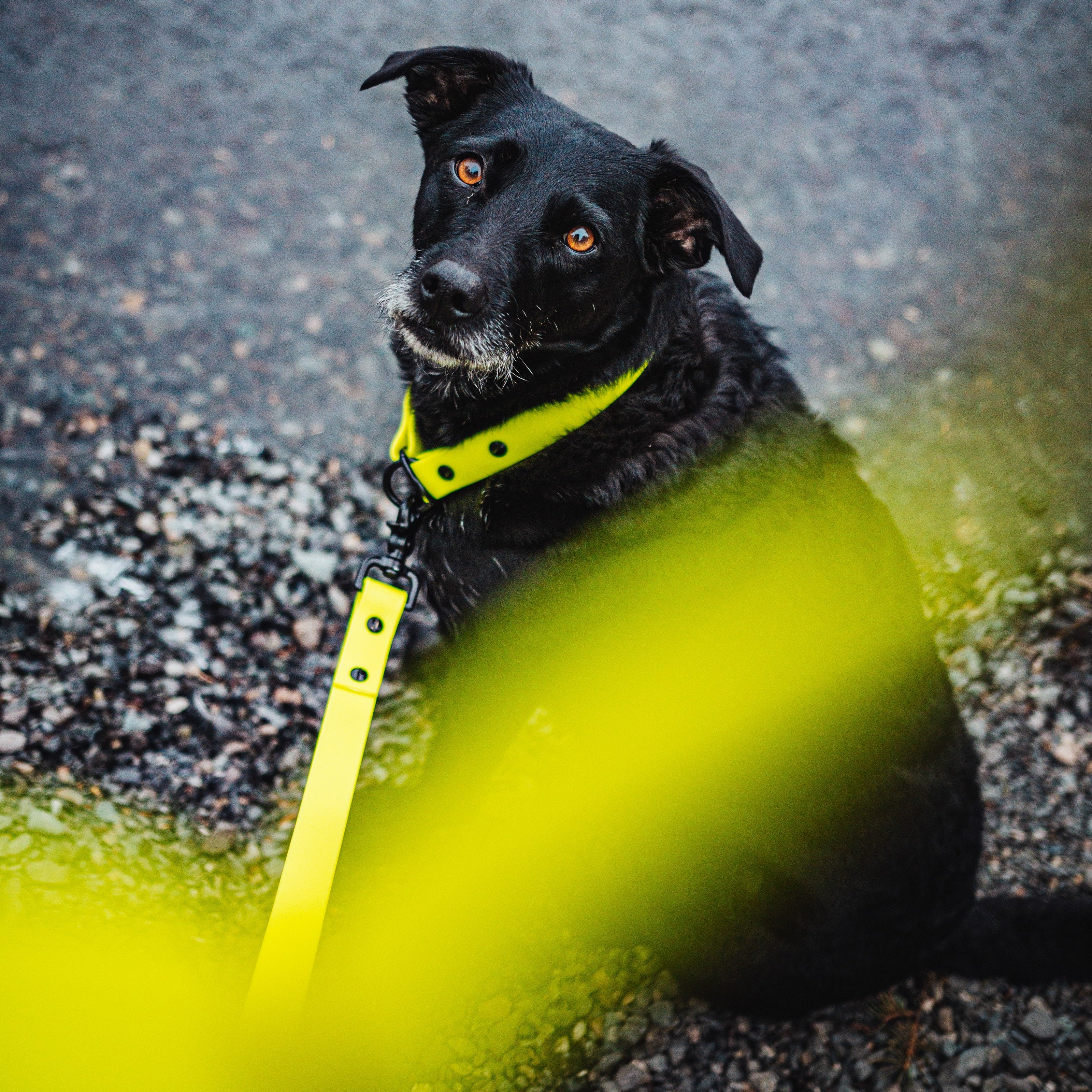 Single Tone Slip Collar