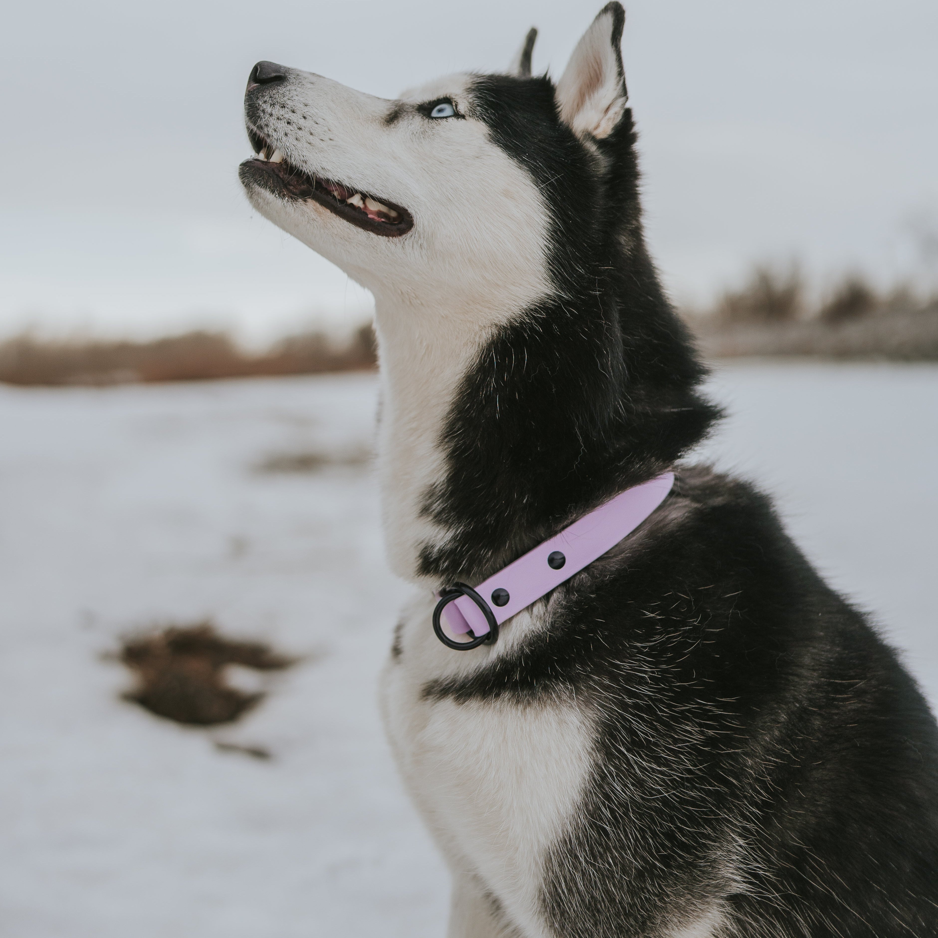 Single Tone Slip Collar