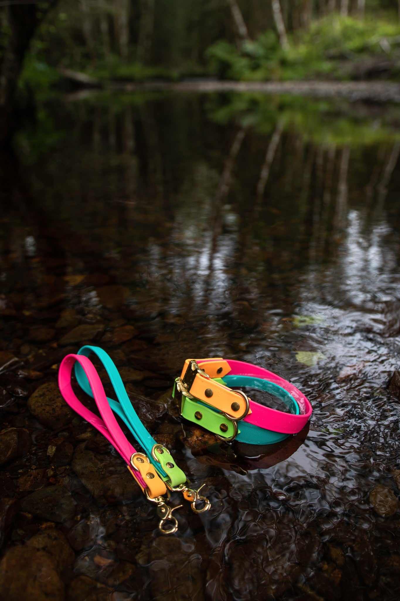 Waterproof Biothane Two Tone Traffic Leash