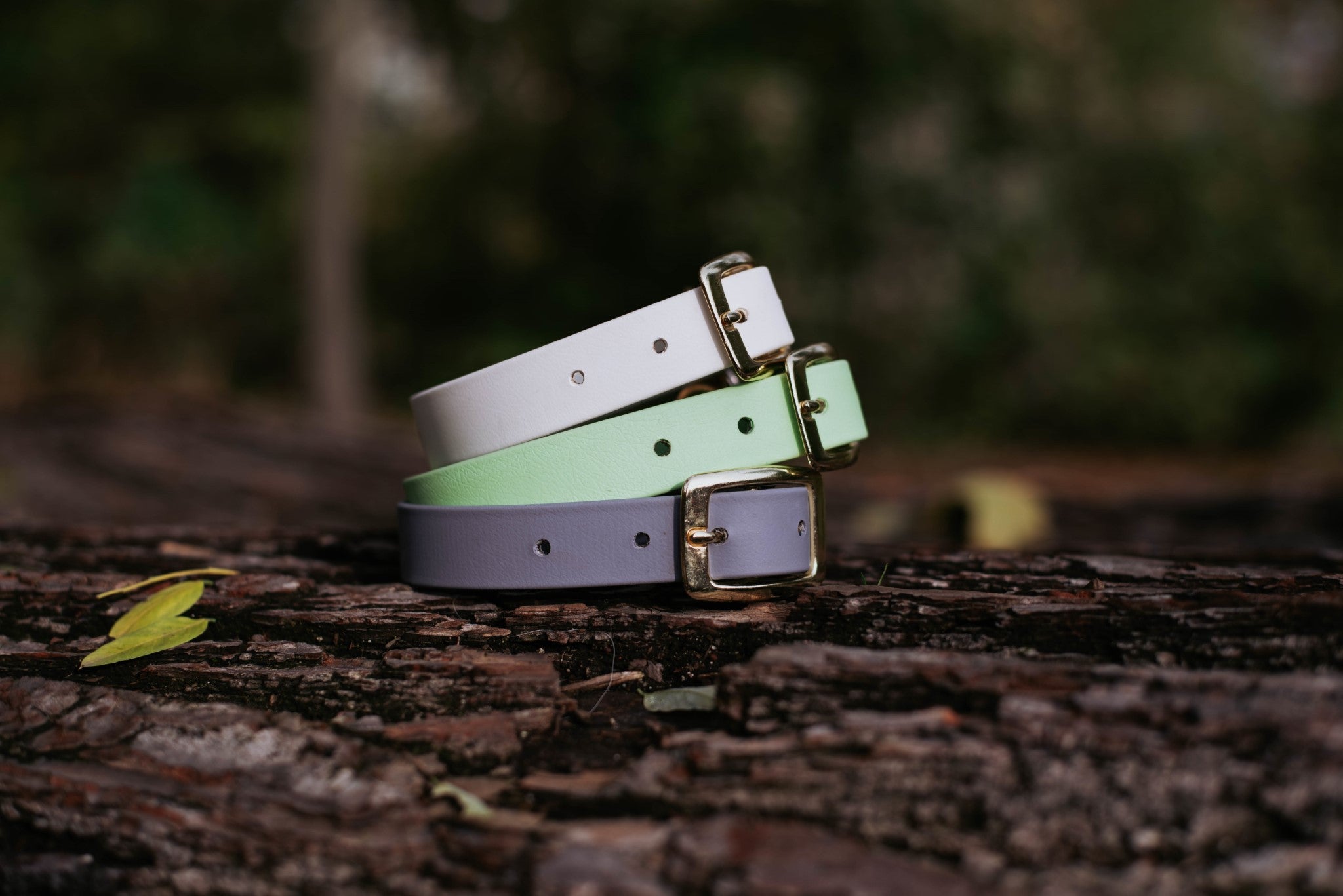 Two Buckle Collar Package Deal