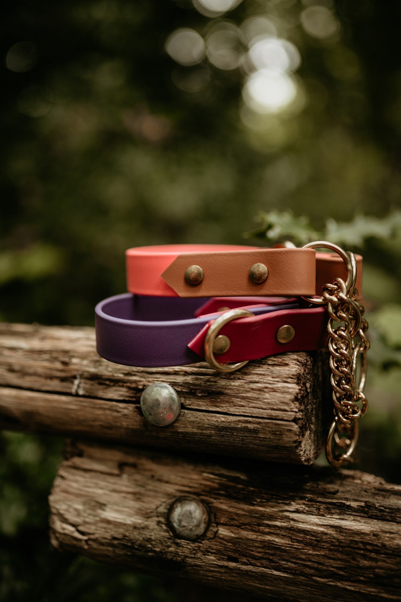 Two Tone Martingale Collar + Two Tone Leash Package Deal