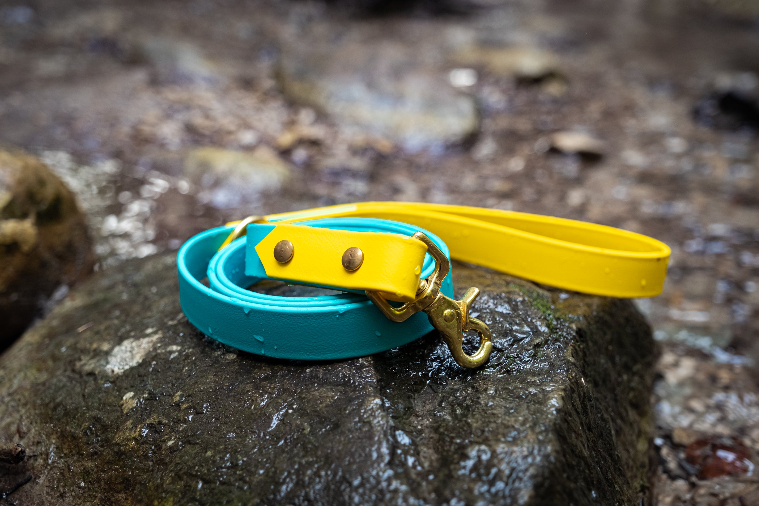 Design Your Own Two Tone Leash