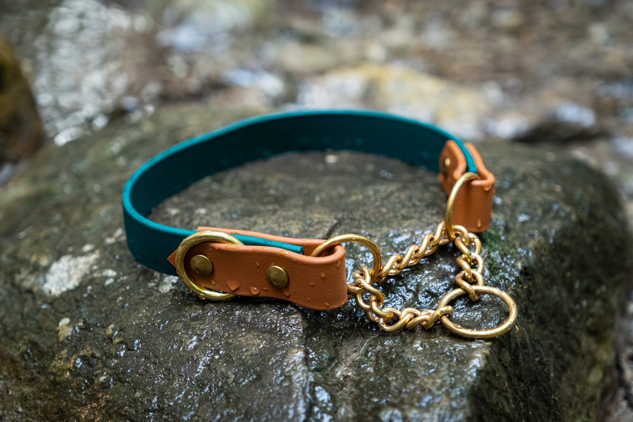 Two Tone Martingale Collar + Two Tone Leash Package Deal