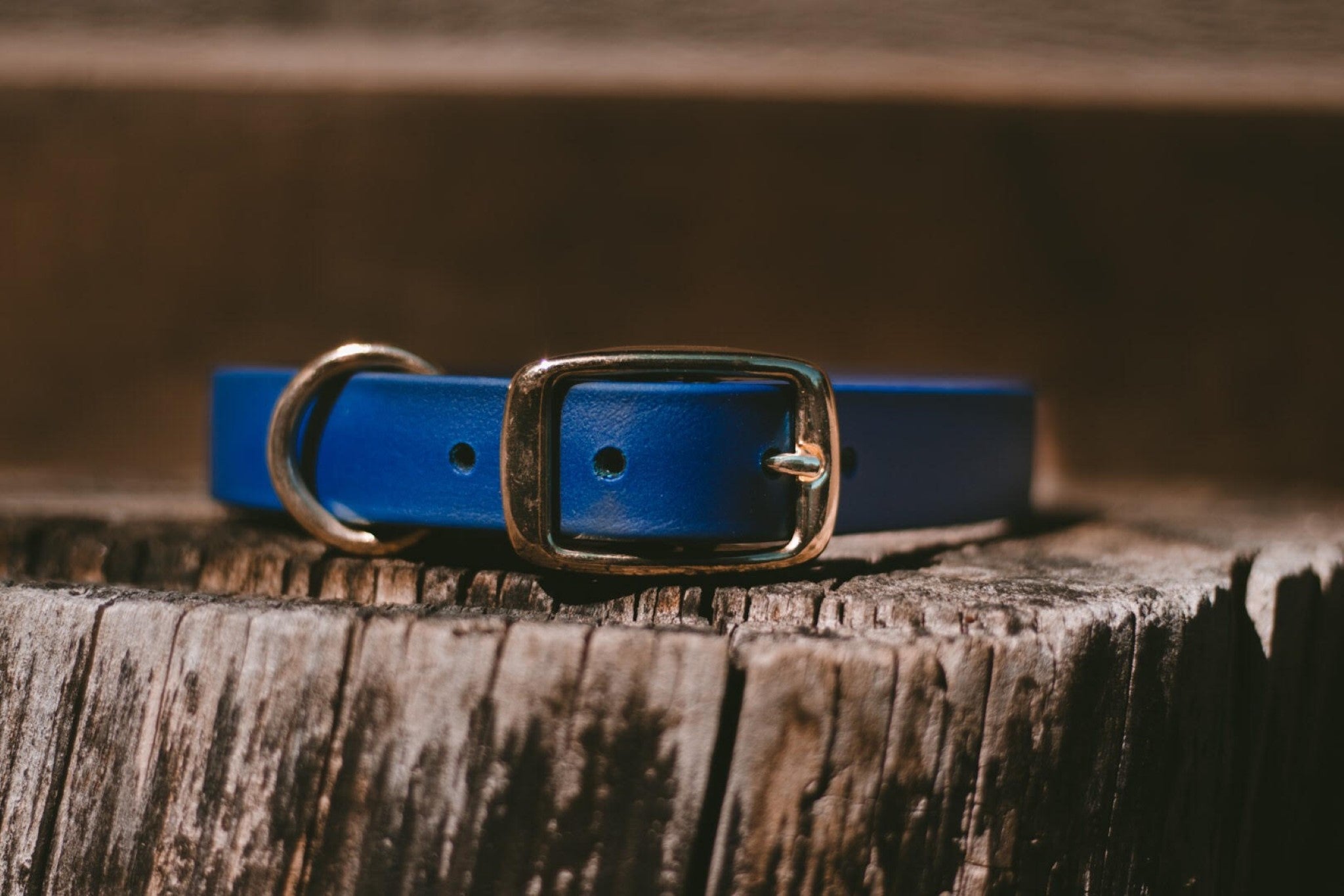 Two Buckle Collar Package Deal